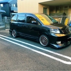 フレーダーマウス  クエルボ