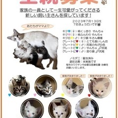 2023年7月13日生まれの兄弟です
