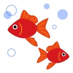 【一時新規受付停止】金魚お引き取りさせて下さい