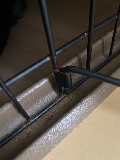 ケージ