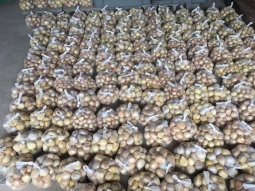 お取引中　ジャンボニンニク　20kg