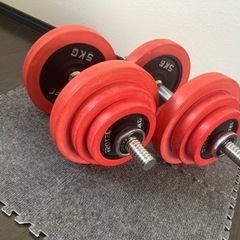 【購入される方が決まりました。】【IROTEC】ダンベル　30kg×２