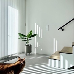 (新品) ferm LIVING Bau Pot Large Warm Greyの画像