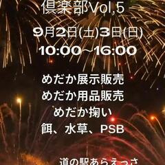 あらえっさめだか倶楽部Vol,5