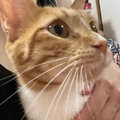 美人姉妹２歳と１歳