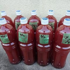 PSB(光合成細菌) 自家培養1.5L⑩の画像