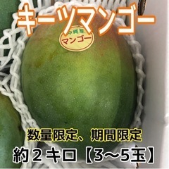 【説明必読】キーツマンゴー　期間数量限定