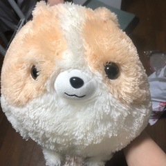 ぬいぐるみ