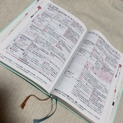 今日の治療薬2019年度版の画像