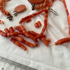 赤珊瑚（お話中）の画像