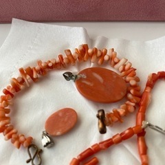 赤珊瑚（お話中）の画像