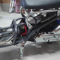 ズーマーの画像