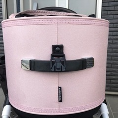 エアバギー　ドーム3 ラージサイズ　ブロッサムの画像