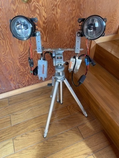 ライトトラップ