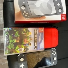任天堂Switch Lite&マイクラ
