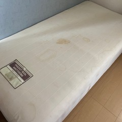 ポケットコイルシングルベッド