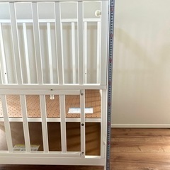 カトージ   ミニタチベット　ホワイトの画像