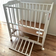 カトージ   ミニタチベット　ホワイトの画像