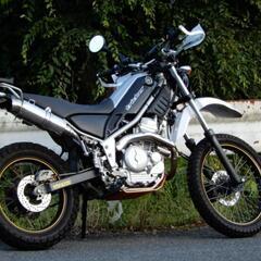ヤマハ トリッカー DG10J 250cc キャブ仕様 車体 実...