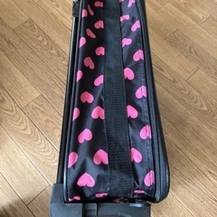 キャリーバック  キャリーケースの画像