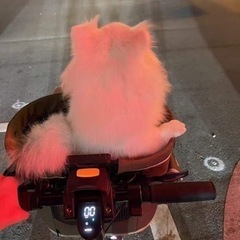 RUNBER 大容量折りたたみ電動自転車　後部座席とステップ付き...
