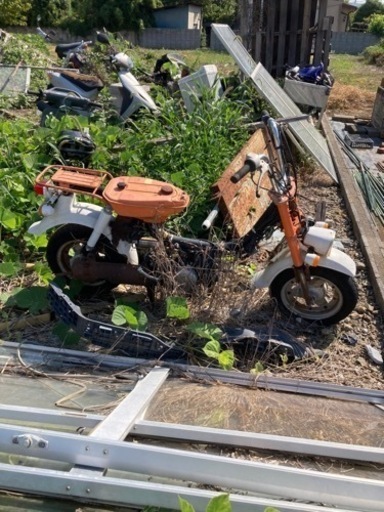 ホンダ　ジャレット！ジャンク