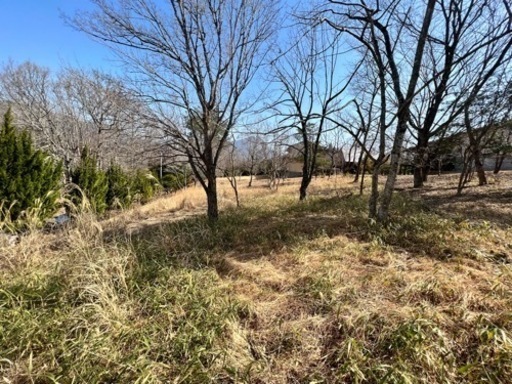 土地　由布市湯布院町川北