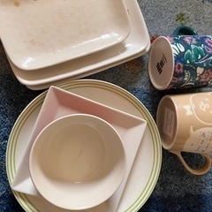無料のお皿。使用感かなりアリ！