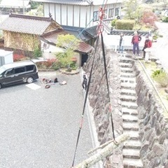 🌲特殊伐採します🌲切りたいけど切れない木🌲請負います。