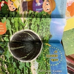 保育園購入　絵本　の画像