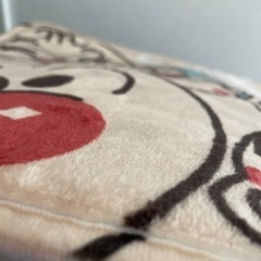 フロアマットの画像