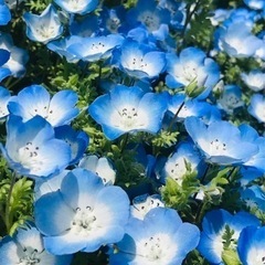 女友達再募集します🙋‍♀️