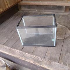 メダカ飼育に最適?!小型ガラス水槽の画像