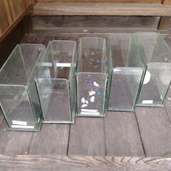 メダカ飼育に最適?!小型ガラス水槽の画像