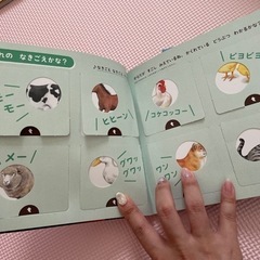 こどもちゃれんじ絵本2冊セットの画像