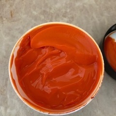 カラートリートメント【オレンジ】の画像