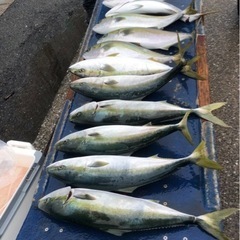 釣り🎣🚤初心者🔰集まれ‼️(手ぶらで👍) - メンバー募集