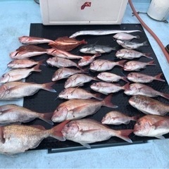 釣り🎣🚤初心者🔰集まれ‼️(手ぶらで👍) - 目黒区
