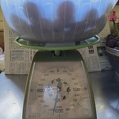 28日収穫、巨峰(種あり)粒、約1080gの画像