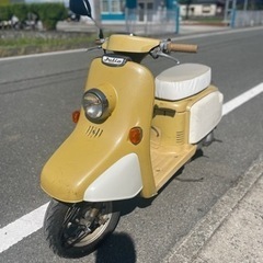 超希少HONDAジュリオ50 激レア　チャンス