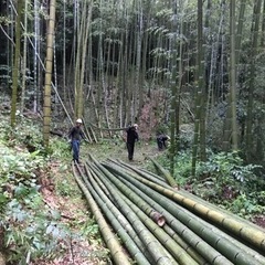 竹のお仕事　スタッフ募集の画像