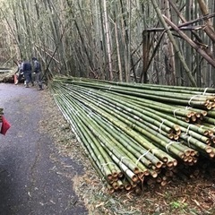 竹のお仕事　スタッフ募集の画像