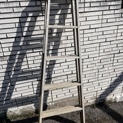 5段脚立の画像