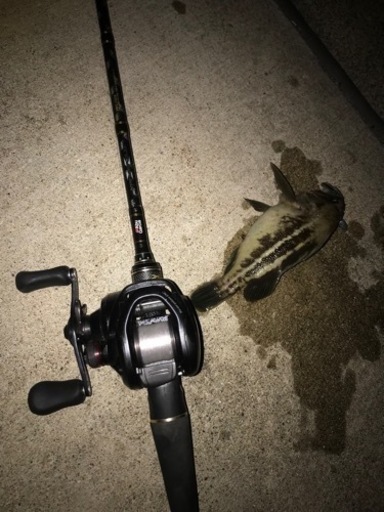 シマノ　SHIMANO スコーピオンDC 101