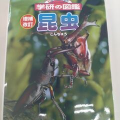 ABCのほん、My First Oxford,学研の図鑑「昆虫」計3冊の画像