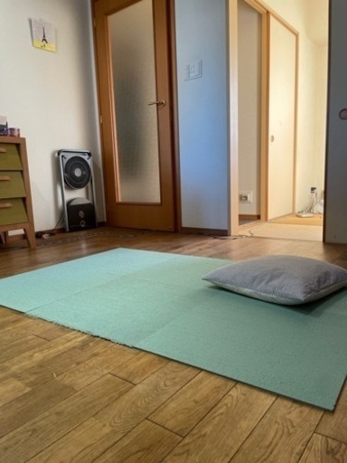 ニトリ タイルカーペット グリーン50X50 40枚