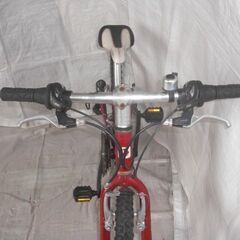 LOUIS GARNEAU （ルイガノ）J22　KIDS　ジュニア　マウンテンバイク　管理NO.20230829-18の画像