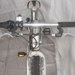 LOUIS GARNEAU （ルイガノ） LGS-J206　20インチ　KIDS　ジュニア　マウンテンバイク　管理NO.20230829-19の画像