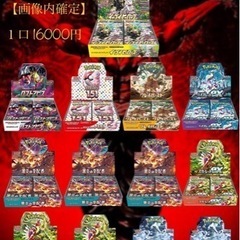 第一弾　ポケモンBOXオリパ【オーガオリパ】