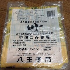 八王子市 指定ごみ袋 不燃 40L 3枚セット
